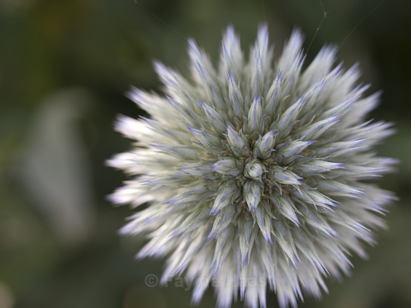  - Nature's Wonders