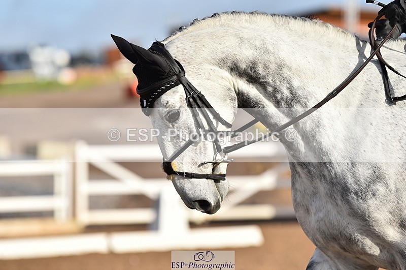 231104A-103854-01406 - Cls 2 Prelim 19