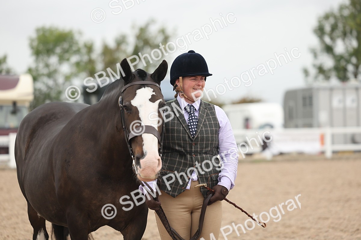 SBM_19868 - Class 318 - IH Part Bred Horse-Pony