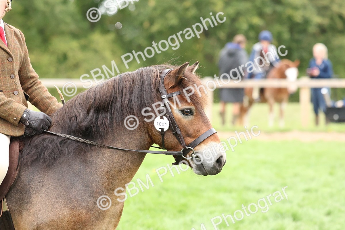 SBM_67486 - S61 - Mountain & Moorland Ridden