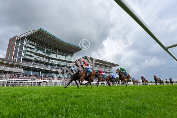 150524-Race 5-Diligent Resdev-5550 - Race 5 4.15pm Conundrum HR Consulting Handicap