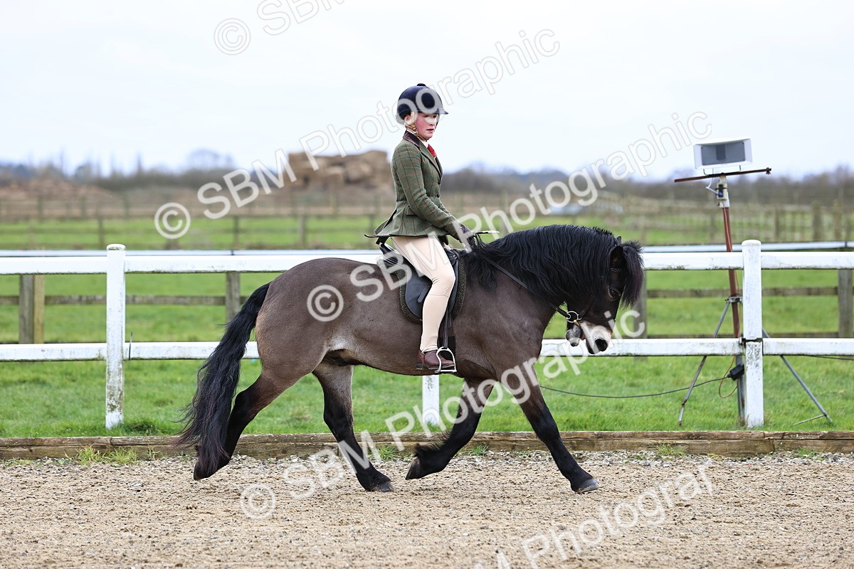 SBM_006777 - Class 29 - 30 - M&M Pure Novice Small-Large Breeds