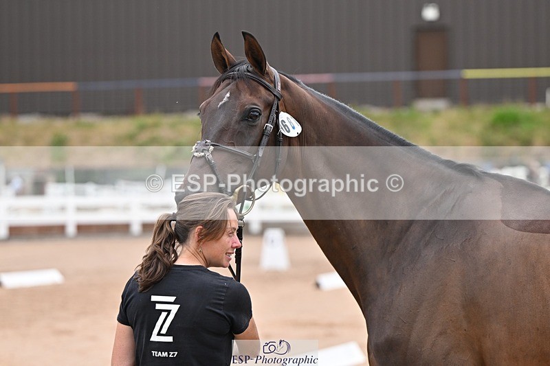 250716-140847-00935 - Trot Up 1.30 to 2.30