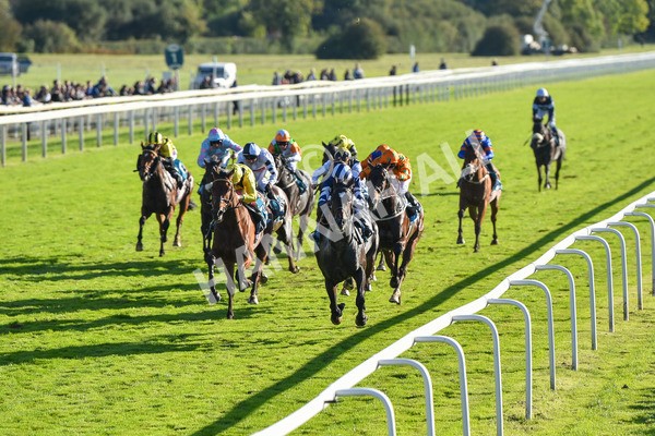 141023-Race 5-Certain Lad-1334 - Race 5 3.35pm Coral Racing Bet Bundles Handicap