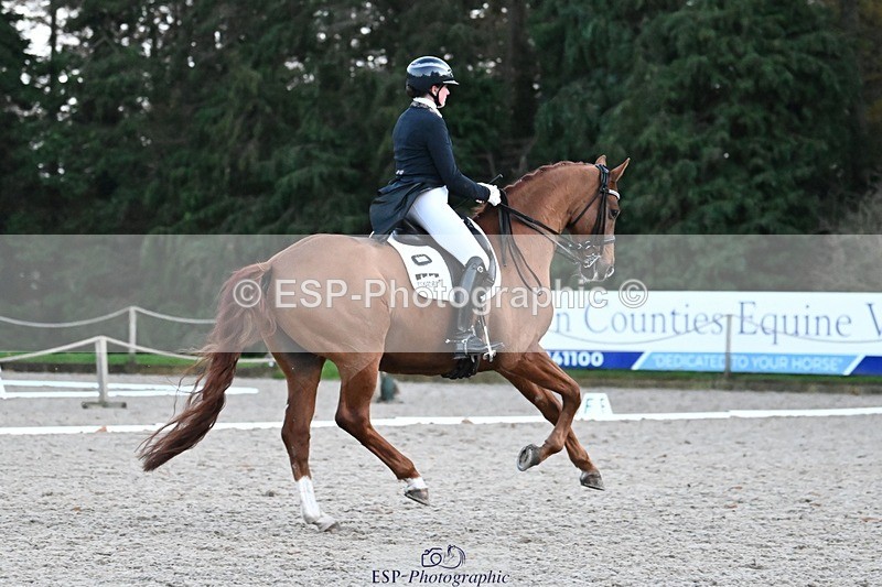 231110-163943-02714 - Cls 14 FEI Grand Prix