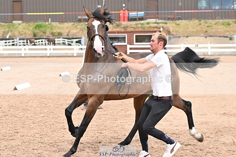 250716-161610-02542 - Trot Up 3.30 to 4.30