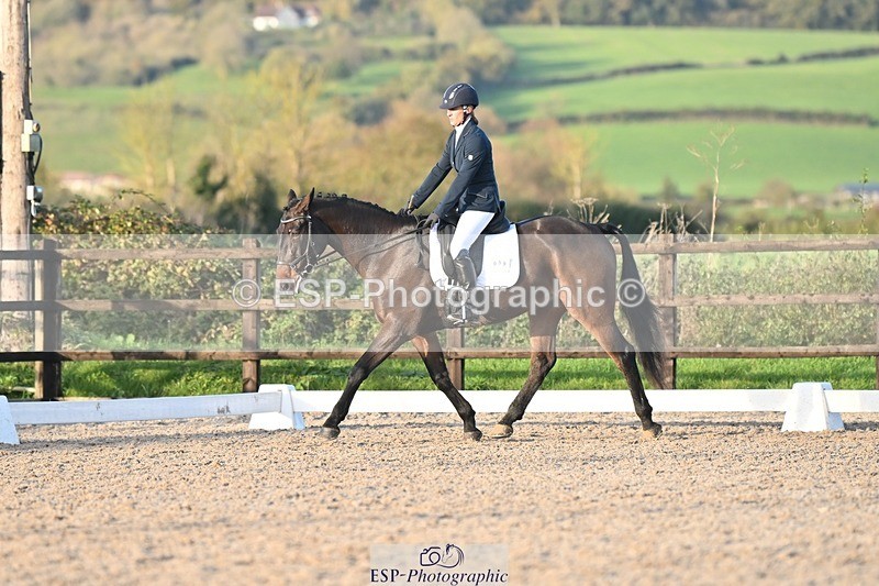 231105-153420-03072 - Cls 4 Novice 24 15.24 to 16.35 break