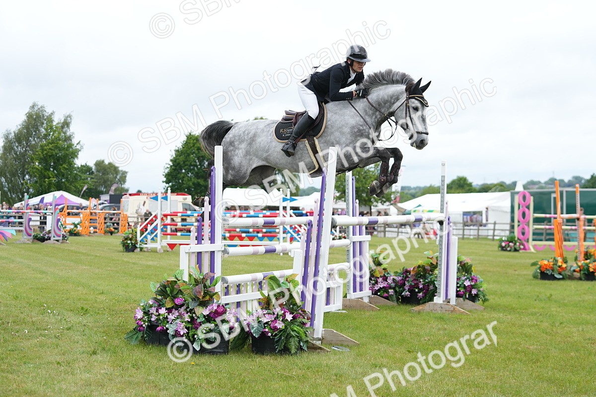 SBM_03118 - Class 201 - British Horse Feeds Speedi Beet Horse of the Year Show Grade  C