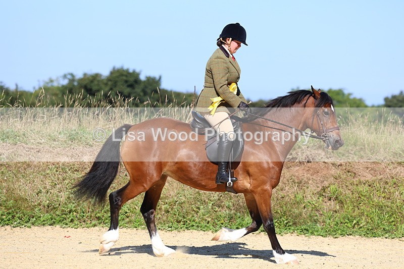 3E7A7991 - Class 14: Tack and Turnout