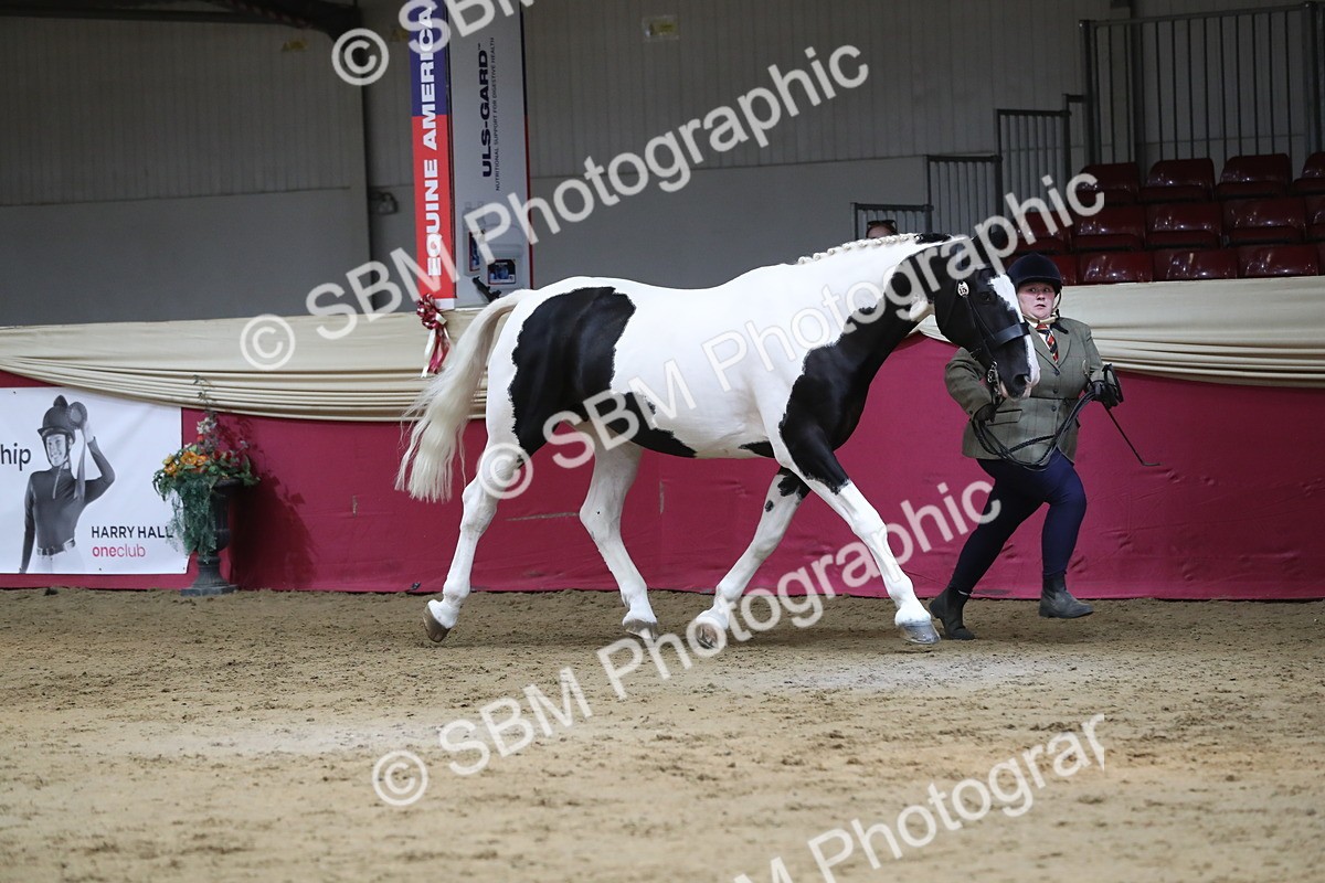 SBM_06245 - Class 9R Regional- IH Pre Vet