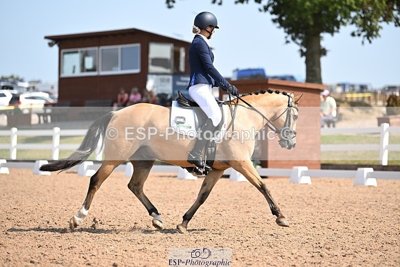 250816-120035-04391 - 060-Felicity.HendySheepcote.Champion.Star