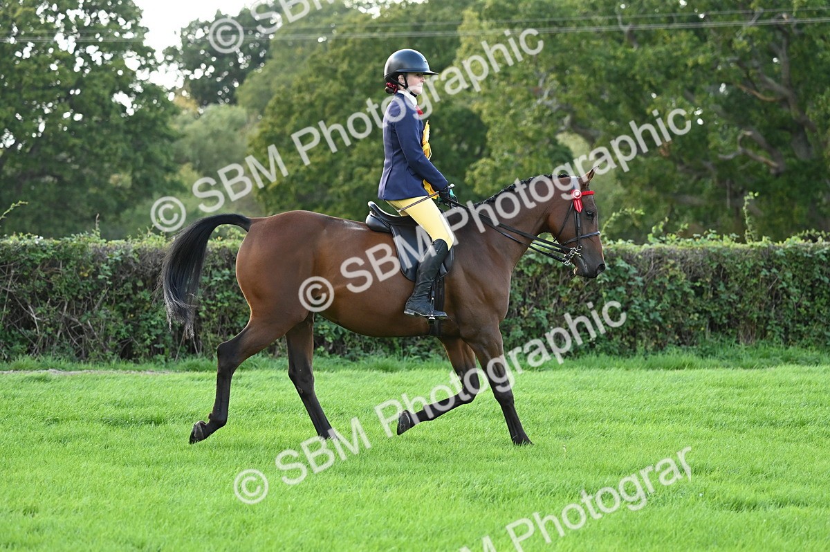 SBM_26525 - S6 - Novice & newcomer Ridden horse