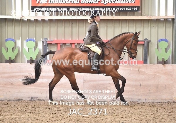 JAC_2371 - CLASS 3 Intermediate Working Hunter