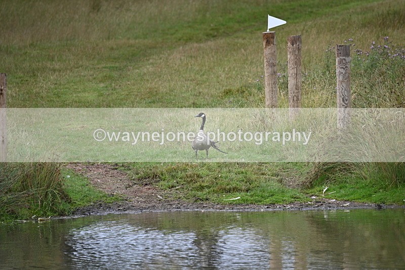 WJ7_7481 - Time at Water 10:28 to 11:05