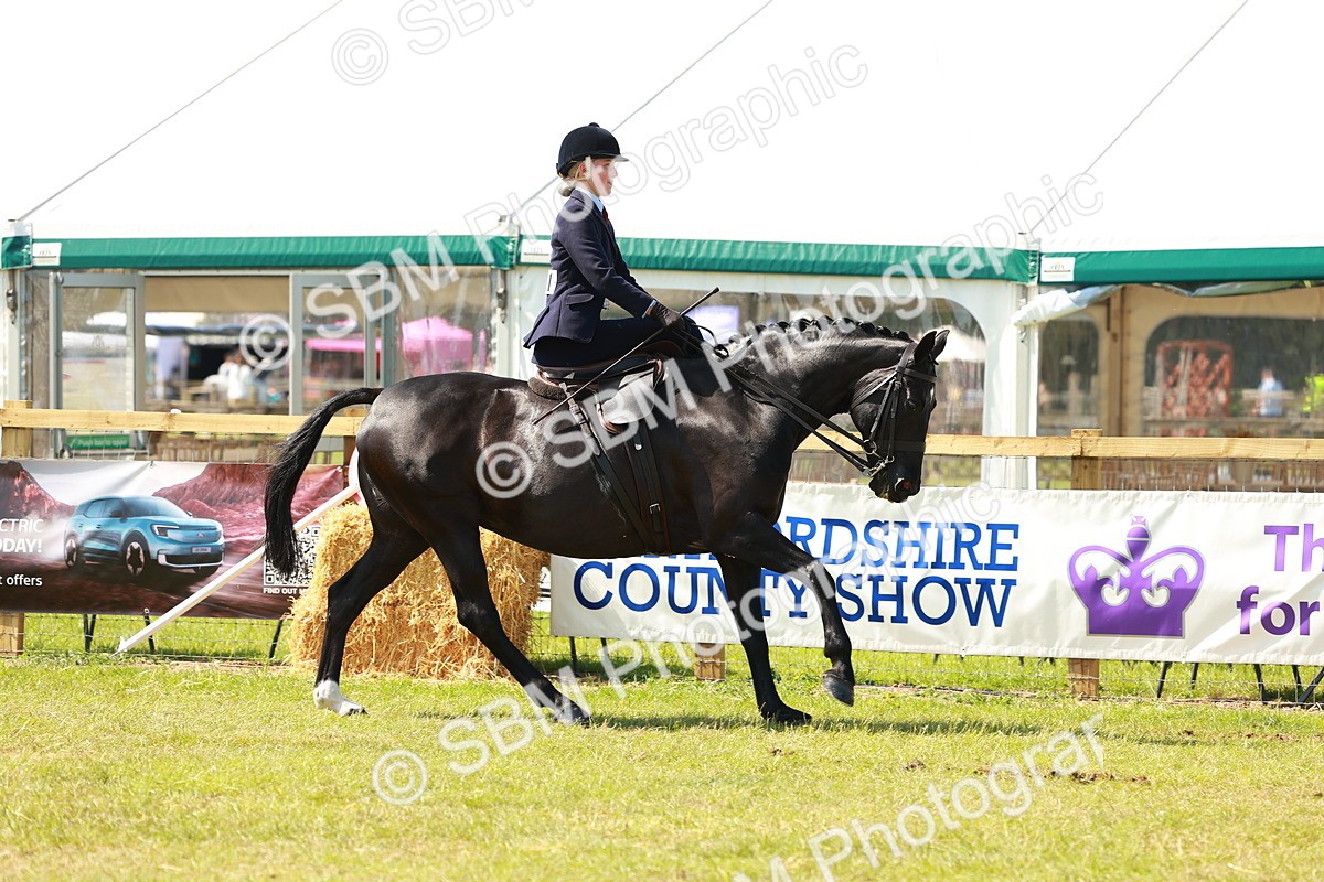 SBM_13342 - Class 70-71 - Side Saddle