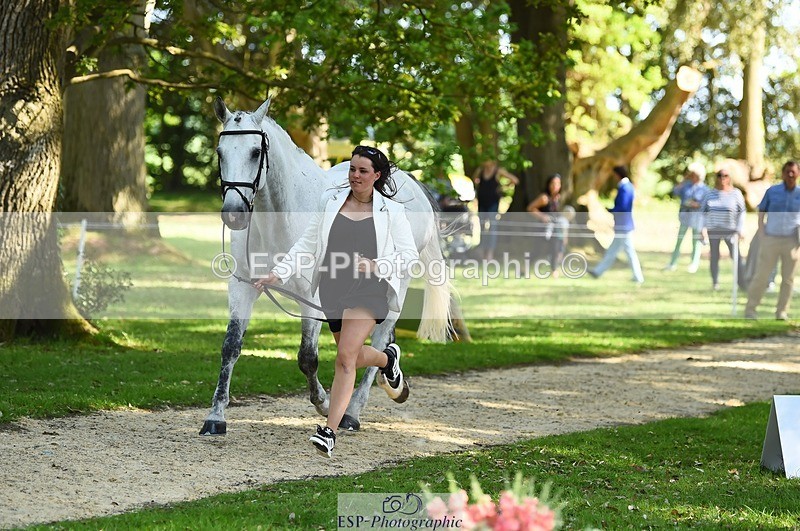 230524-161542-00798 - 261-COOLEY_NOW_OR_NEVER-Georgina_Herrling-WEDTrotUp+DR