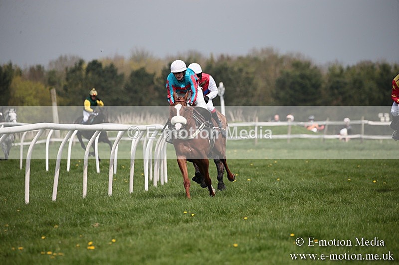 PtP 210418 7 - South & West Wilts Point-to-Point Larkhill 21/04/18