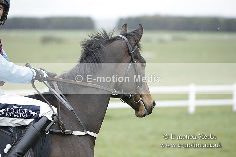 PtP 150320 0267 - New Forest Point-to-Point Larkhill 15/03/20
