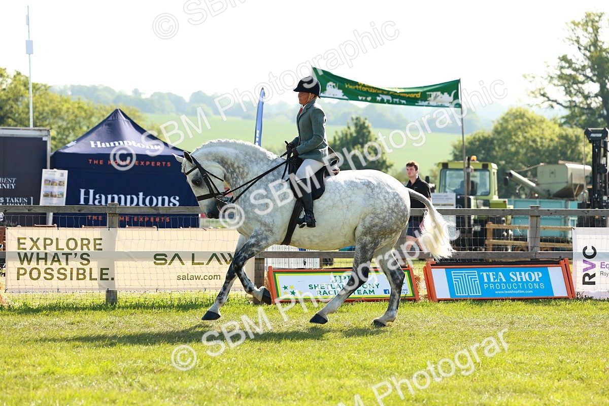 SBM_11781 - Class 66-69 - RIHS Ridden Hunters Inc Small Hunter