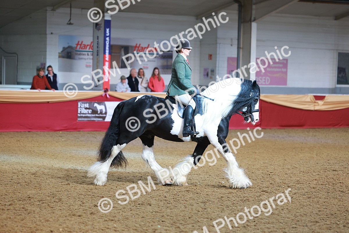 SBM_09465 - Class 102 - HOYS Veteran Qualifier - Ridden Veteran