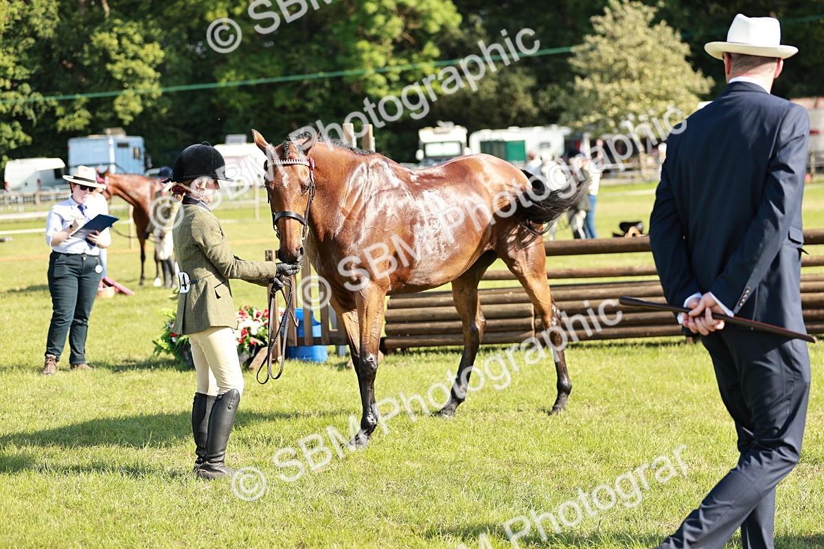 SBM_19277 - Class 115-116 - LIHS BSHA Rising Star Working Hunter & Show Horse