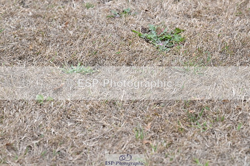 250820A-174547-12235 - Wednesday Presentations