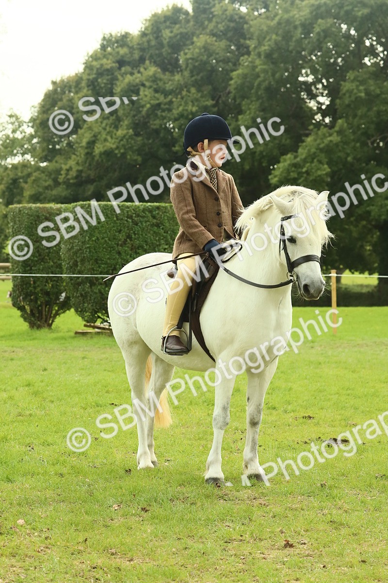 SBM_69927 - S59 - Mountain & Moorland Ridden Small Breeds