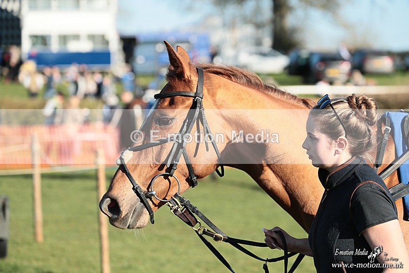 PtP 210326 1143 - VWH Cirencester Races 21/03/26