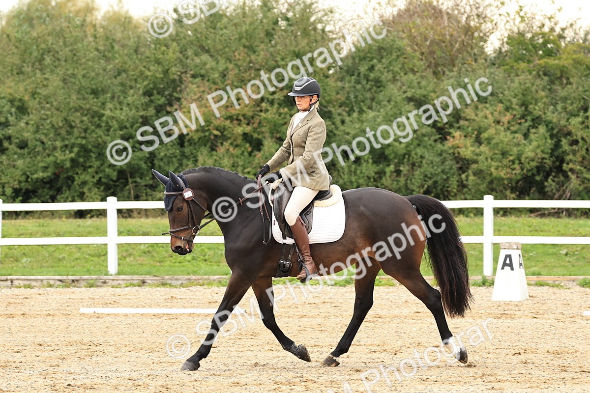 SBM_000222 - Prelim 2