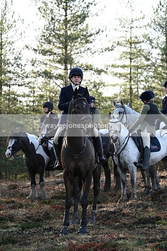 WJ7_7474 - Line 3 (no line 4 or 5)