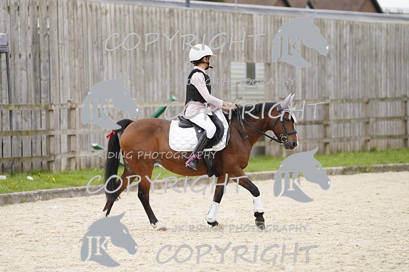 _DSC0960 - 50/60cm fdp