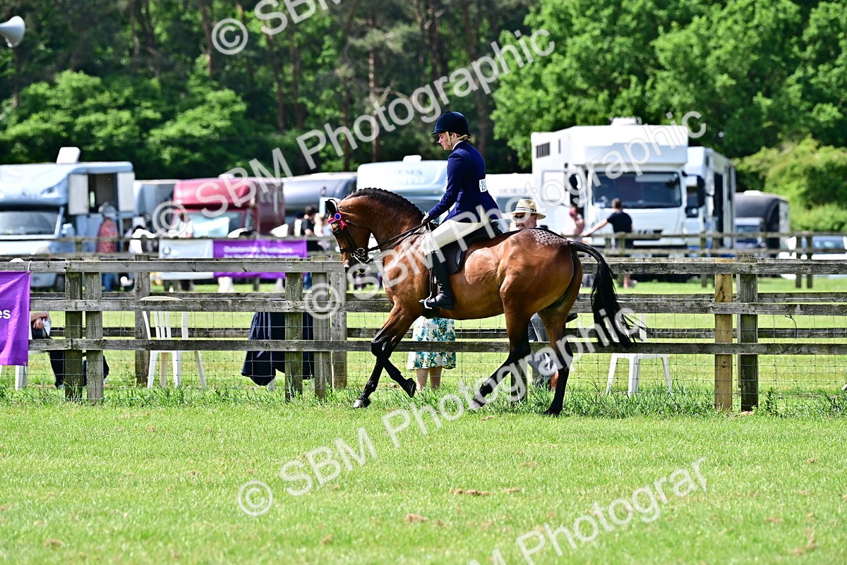 SBM_03785 - Class 58 - TSR  Ridden Veteran Amateur of the year