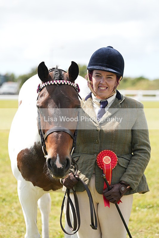 DSC07142 - Class 61: Coloured Horse 4yrs & Over