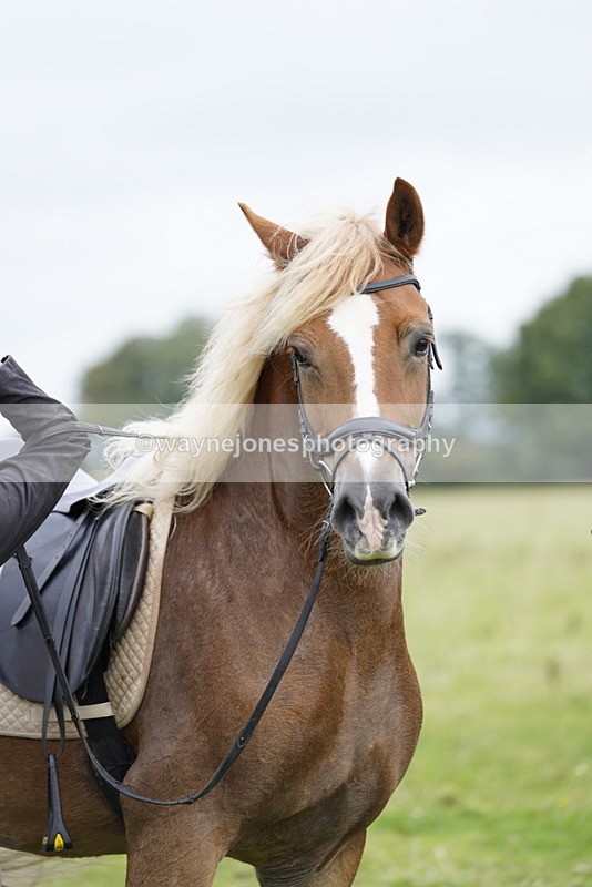_DSC7911 - Time at Photographer 11:57 to 12:36