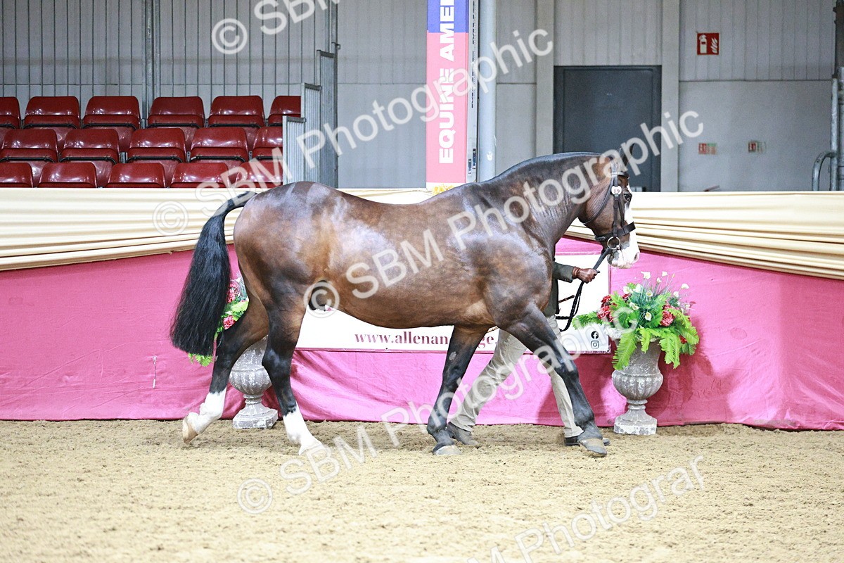 SBM_01129 - Class 3A - Area IH Pre-Vet