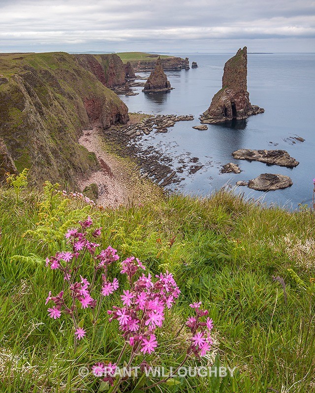  - Vertical Images
