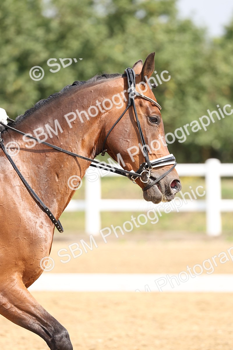 SBM_005869 - Class 6 - Novice 6 - 10.26-11.29