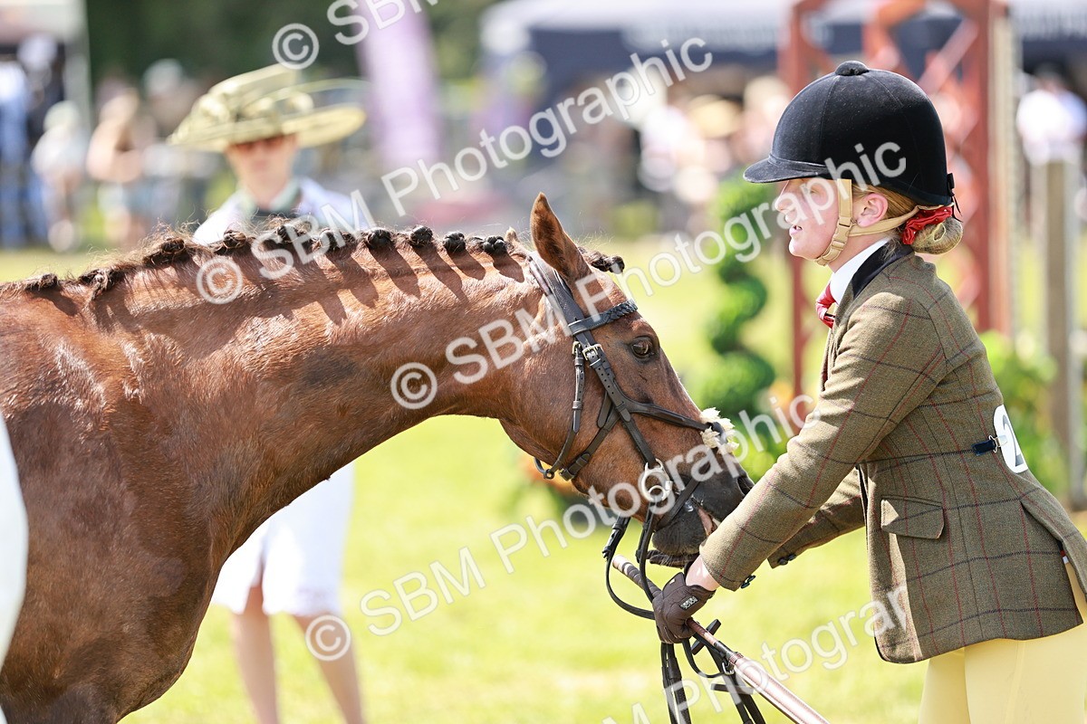 SBM_15606 - Class 108-109 - BSPS LIHS Open Gradle & Nursery Stakes