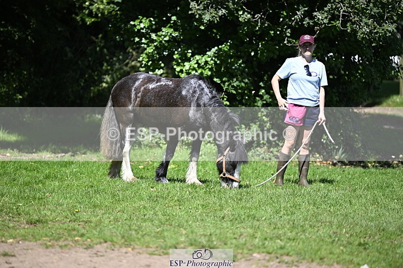 240728B-113840-00312 - Sunday Stable Shots and Fancy Dress