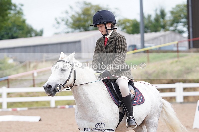 240809A-104458-00650 - Dressage Competition