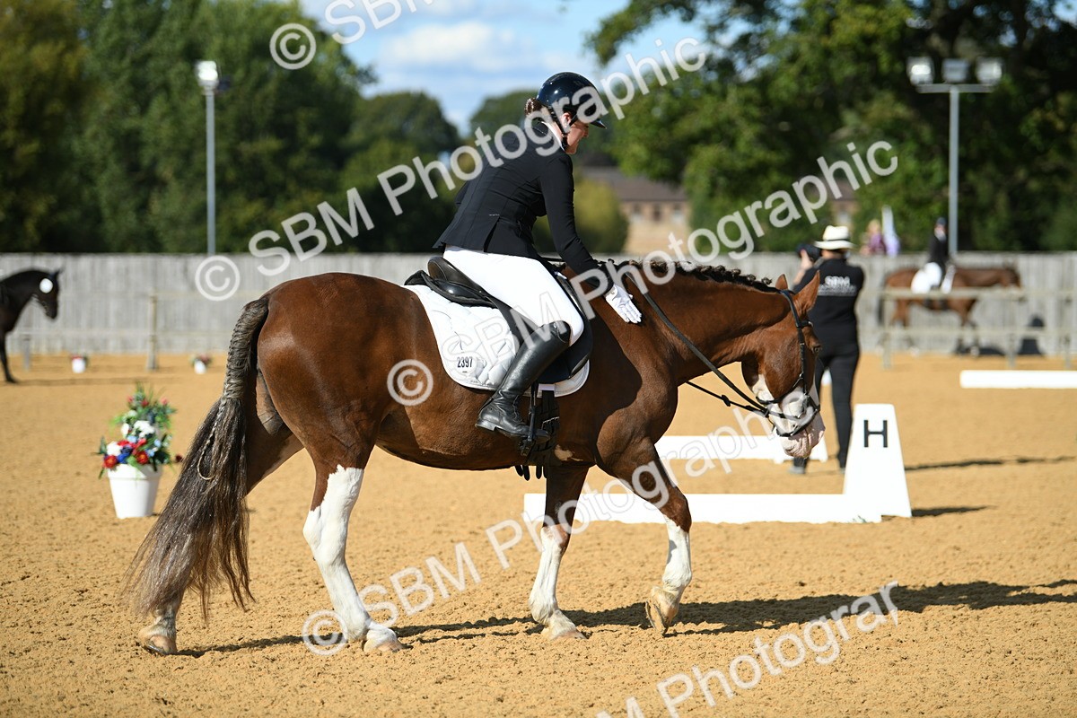 SBM_27132 - D16 - Small Tour Championship - Novice 28