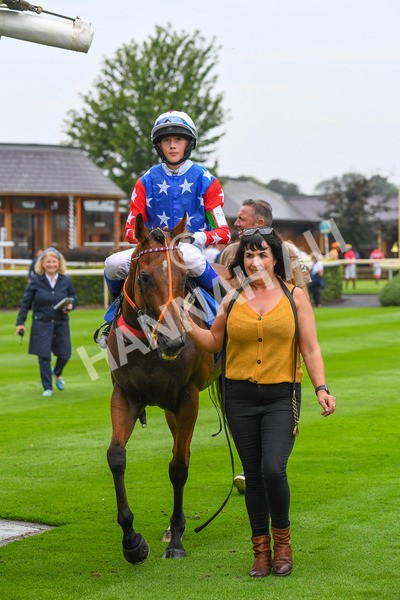 100923-Pony Race 1-Seal The Deal-0139 - Pony Race 1 12.25 The Dragon (TV and Film) Studios Pony Race 148cm & Under