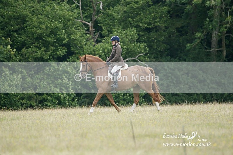BVRC 030721 1 - Bourne Valley Riding Club Dressage 03/07/21