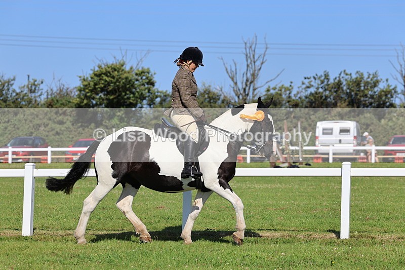 IMG_1617 - Class 30: Ridden Native/Trad Coloured Pony