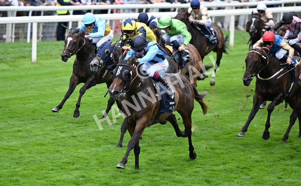 220825-140 Asfoora - Race 4 3.35pm Coolmore Wootton Bassett Nunthorpe Stakes