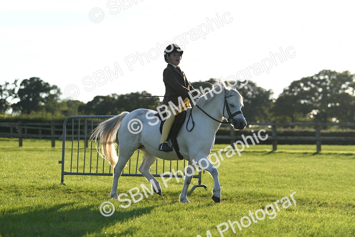 SBM_54224 - S23 - 1st Ridden Mountain & Moorland Pony