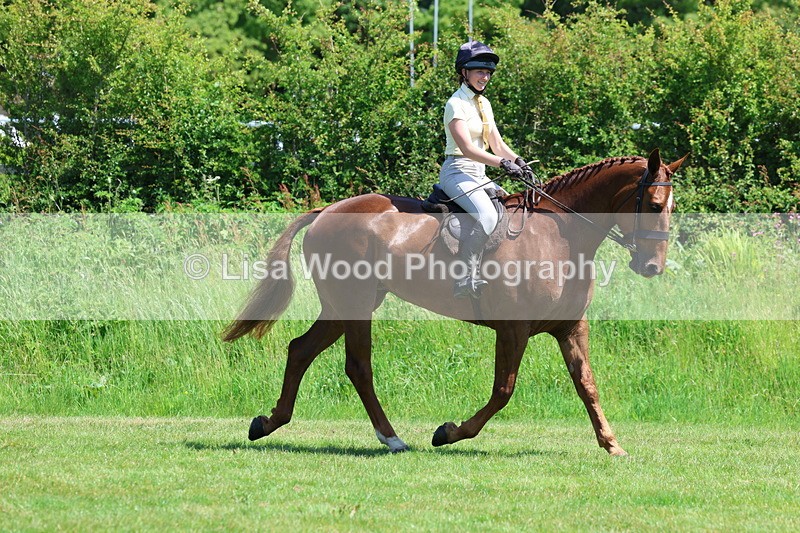 3E7A8046 - Working Hunter Championship
