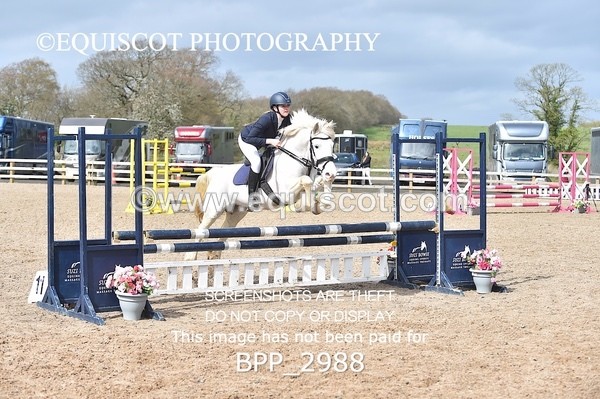 BPP_2988 - CLASS 4 STX-UK Pony BritiNovice / 0.80m Open