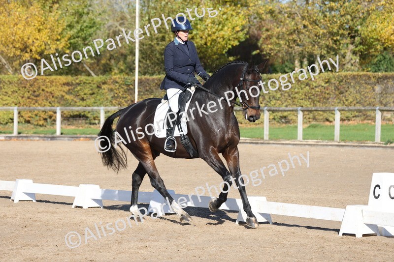 20251102-0990 - Class 5 - Elementary 5