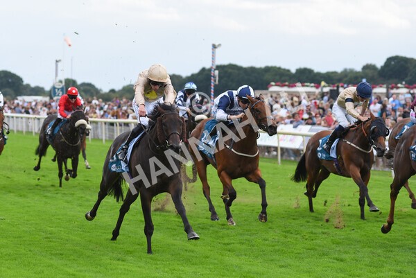 yr04092022r7-27 - Race 7 5.15pm Firmament Stakes